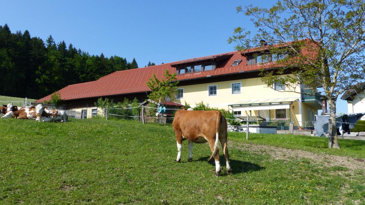 Ferienwohnung Steger Mattsee Eksteriør bilde